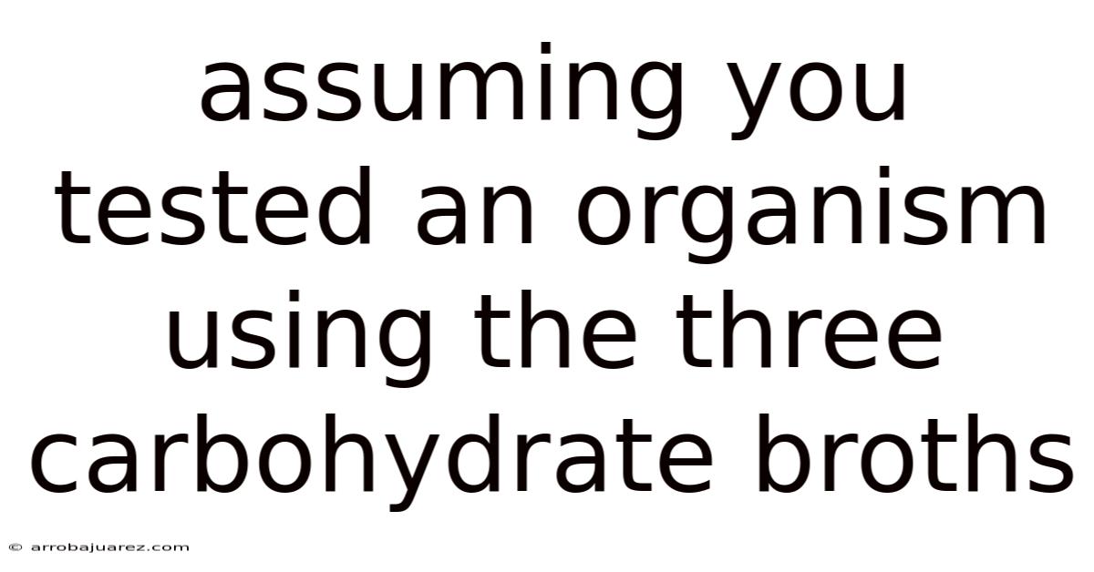 Assuming You Tested An Organism Using The Three Carbohydrate Broths