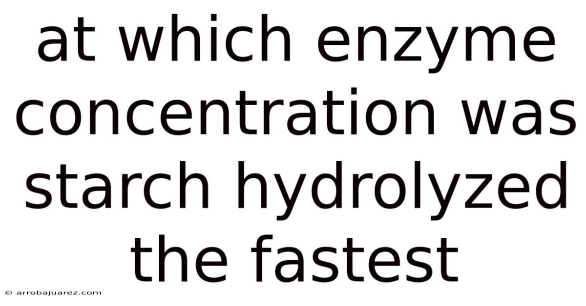 At Which Enzyme Concentration Was Starch Hydrolyzed The Fastest