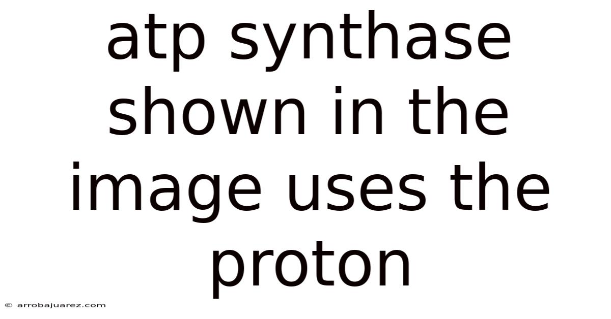 Atp Synthase Shown In The Image Uses The Proton