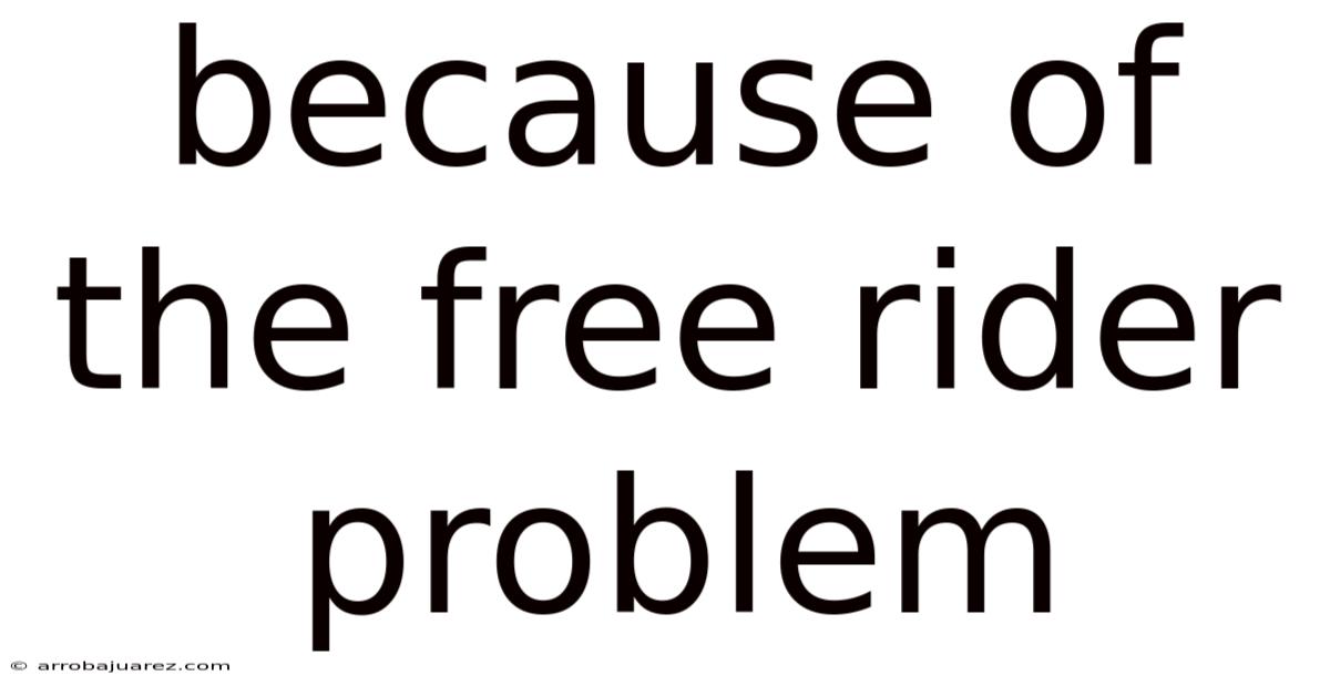 Because Of The Free Rider Problem