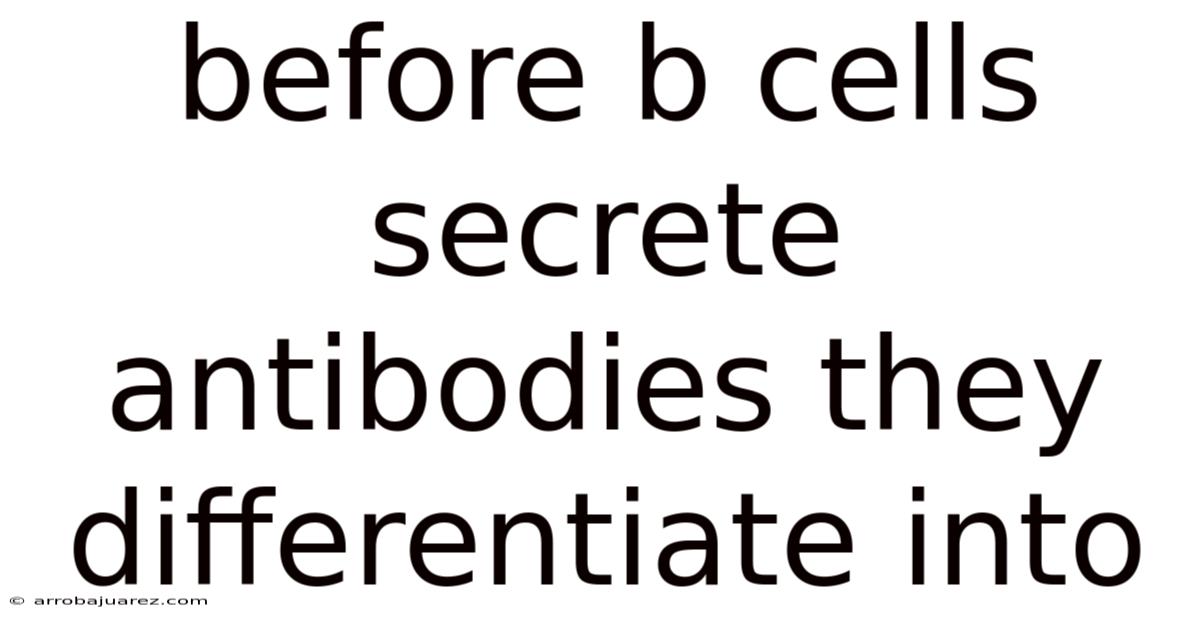 Before B Cells Secrete Antibodies They Differentiate Into