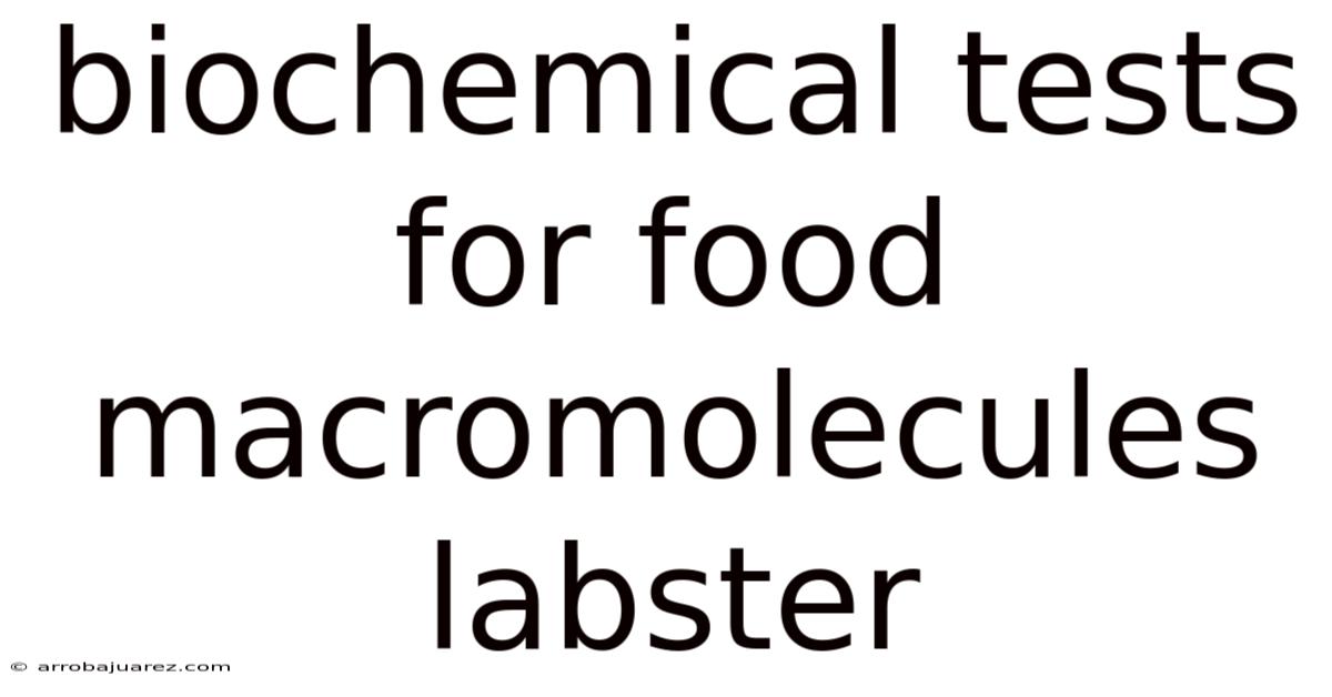 Biochemical Tests For Food Macromolecules Labster