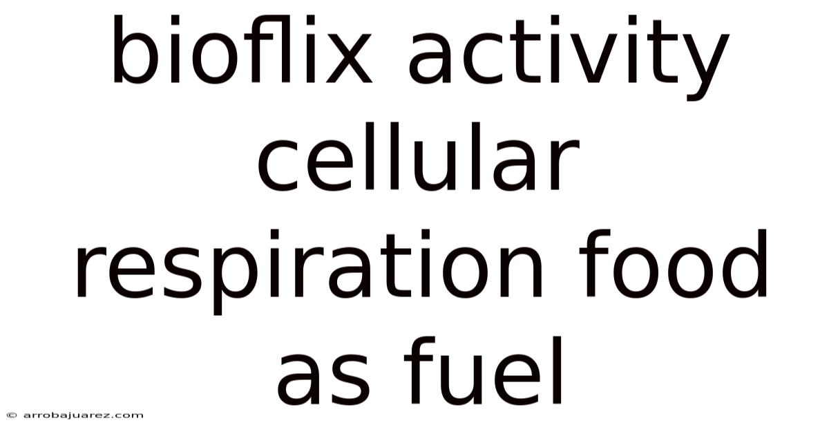 Bioflix Activity Cellular Respiration Food As Fuel