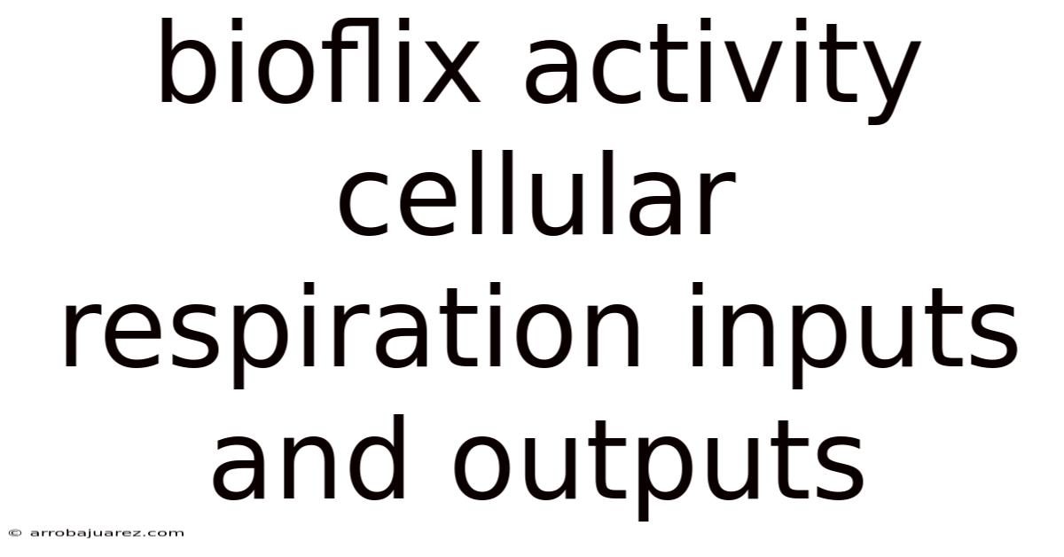 Bioflix Activity Cellular Respiration Inputs And Outputs