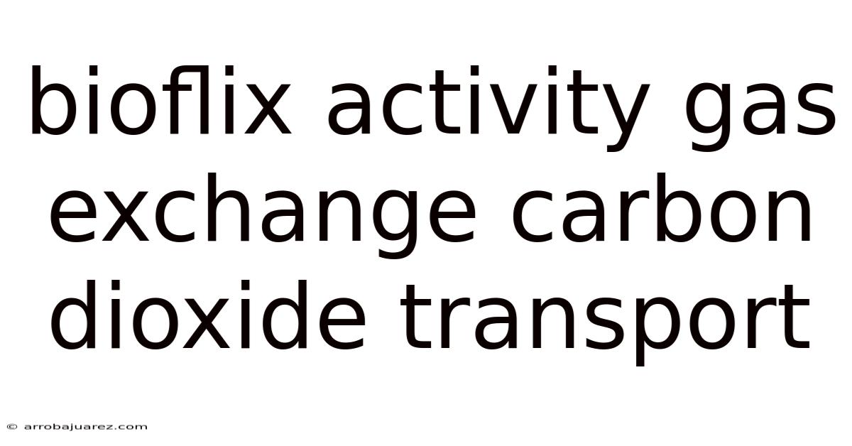 Bioflix Activity Gas Exchange Carbon Dioxide Transport