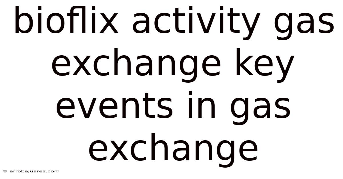 Bioflix Activity Gas Exchange Key Events In Gas Exchange
