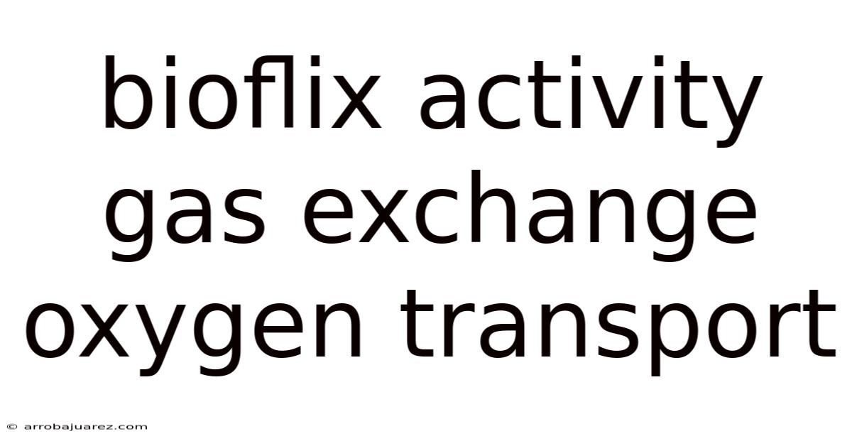 Bioflix Activity Gas Exchange Oxygen Transport