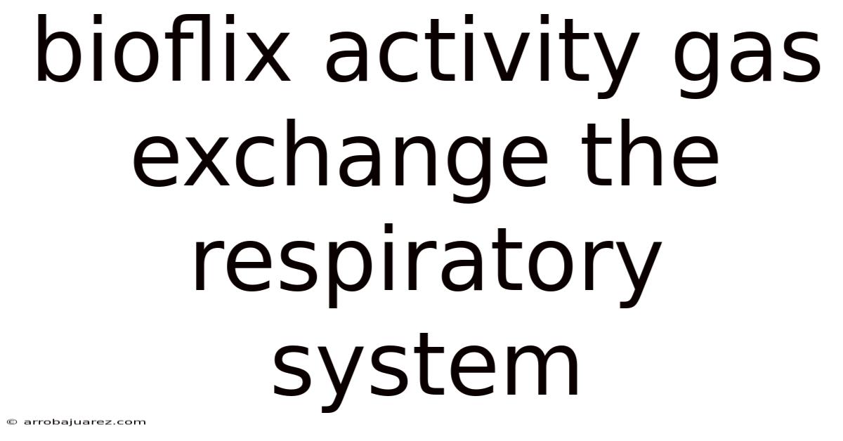 Bioflix Activity Gas Exchange The Respiratory System