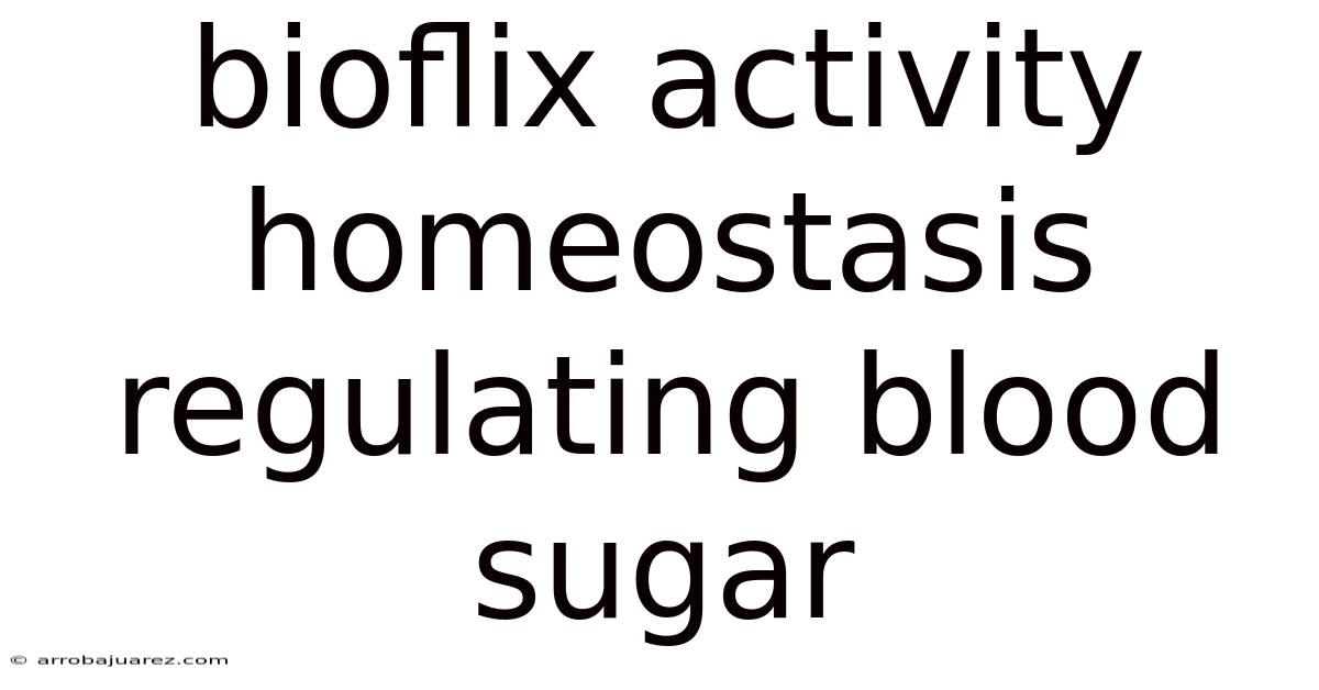Bioflix Activity Homeostasis Regulating Blood Sugar