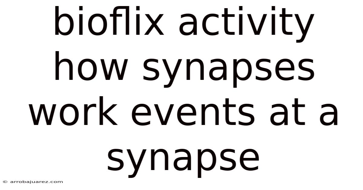 Bioflix Activity How Synapses Work Events At A Synapse