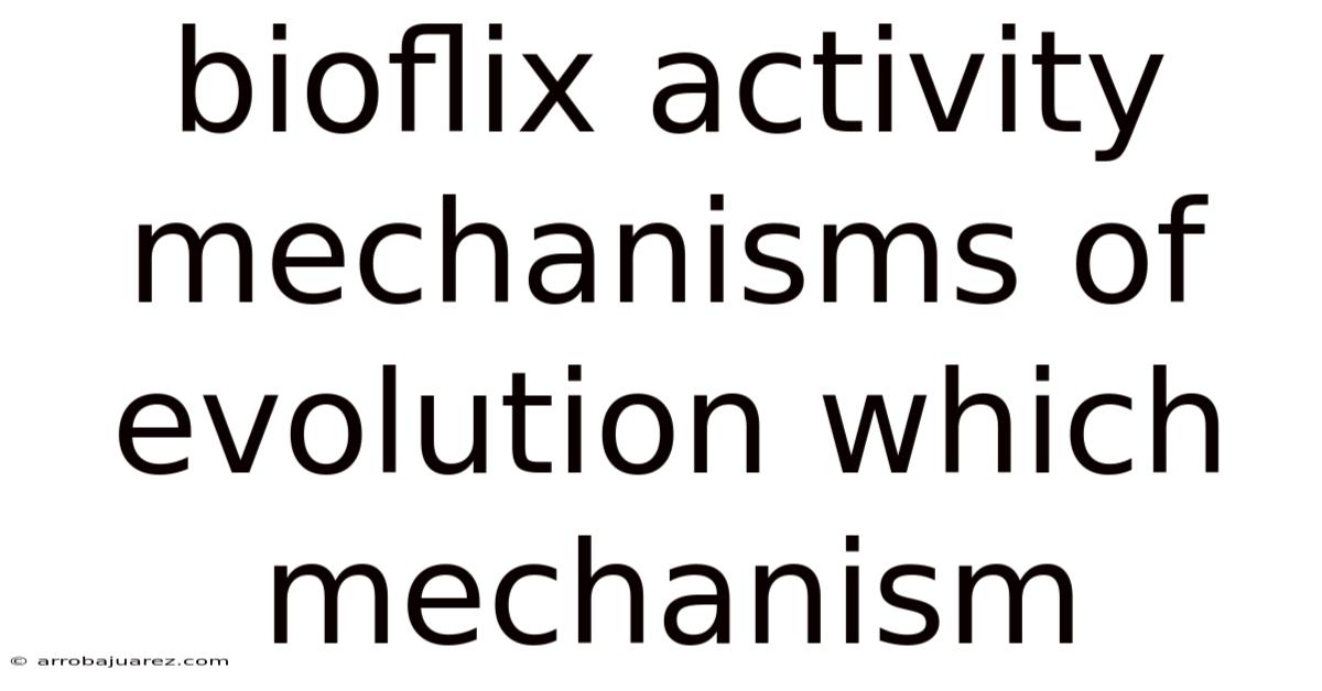 Bioflix Activity Mechanisms Of Evolution Which Mechanism