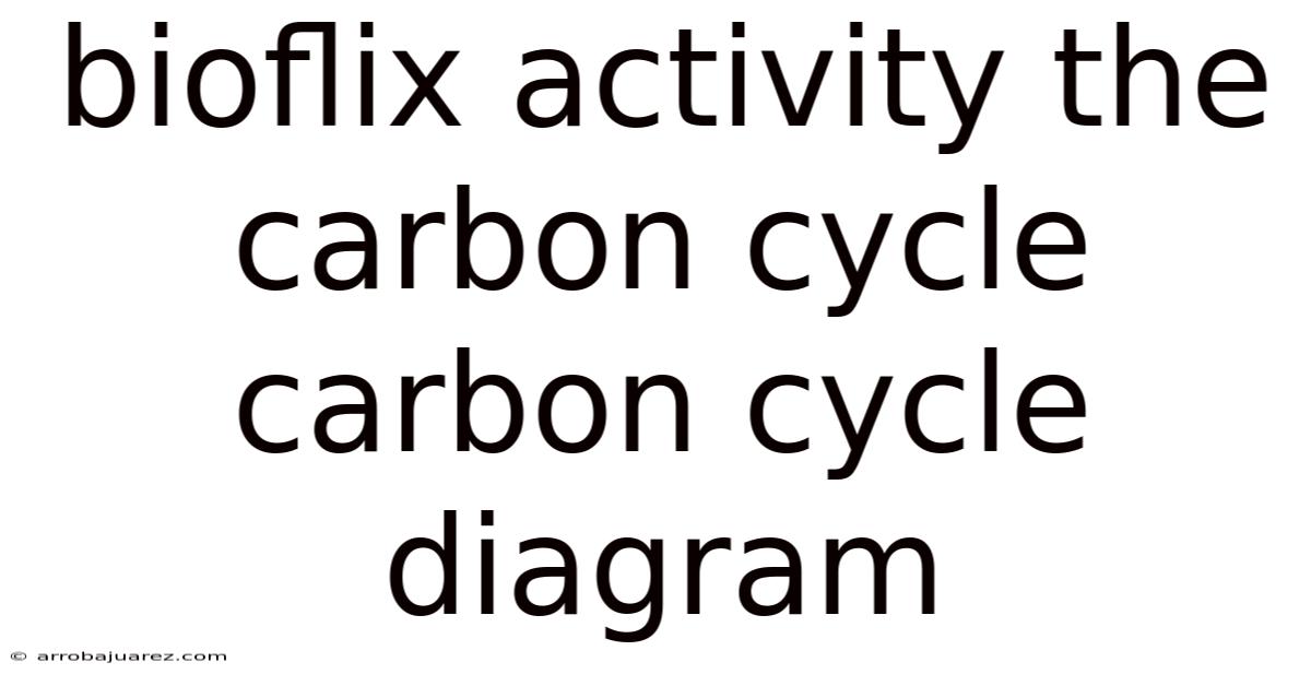 Bioflix Activity The Carbon Cycle Carbon Cycle Diagram