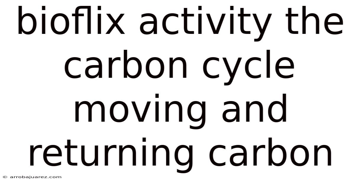 Bioflix Activity The Carbon Cycle Moving And Returning Carbon