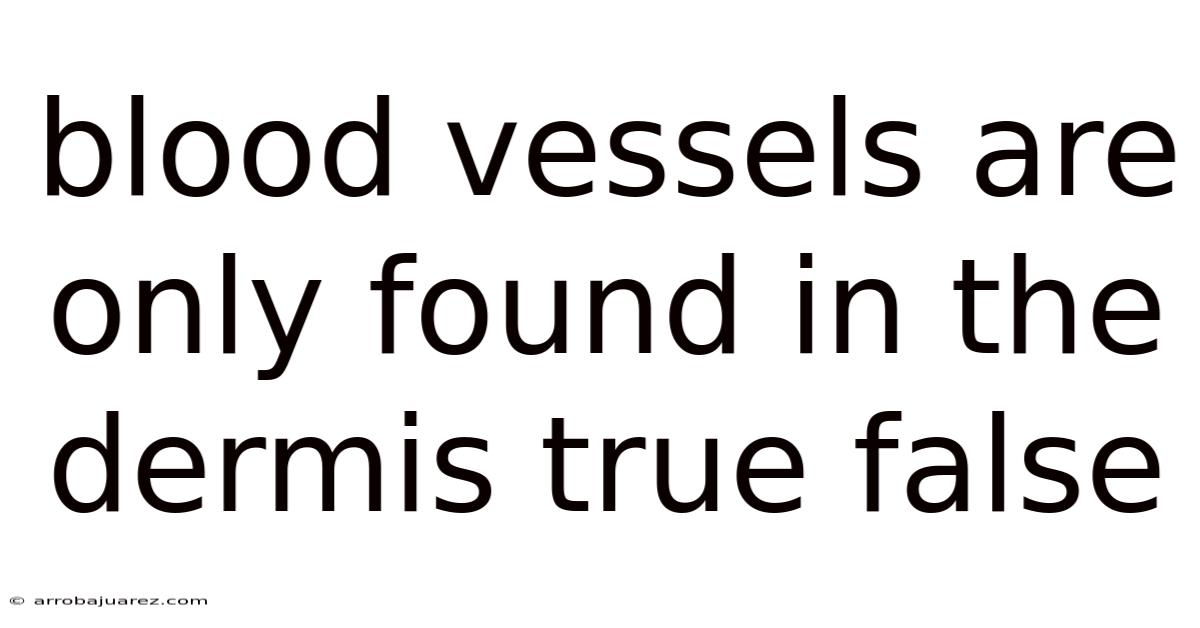 Blood Vessels Are Only Found In The Dermis True False