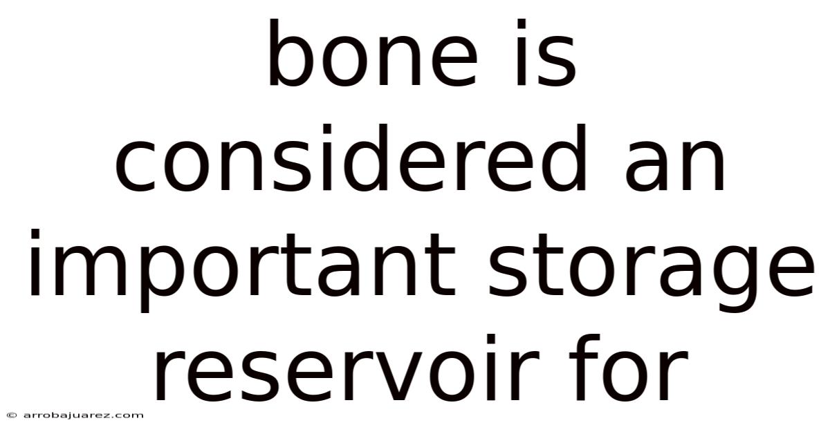 Bone Is Considered An Important Storage Reservoir For