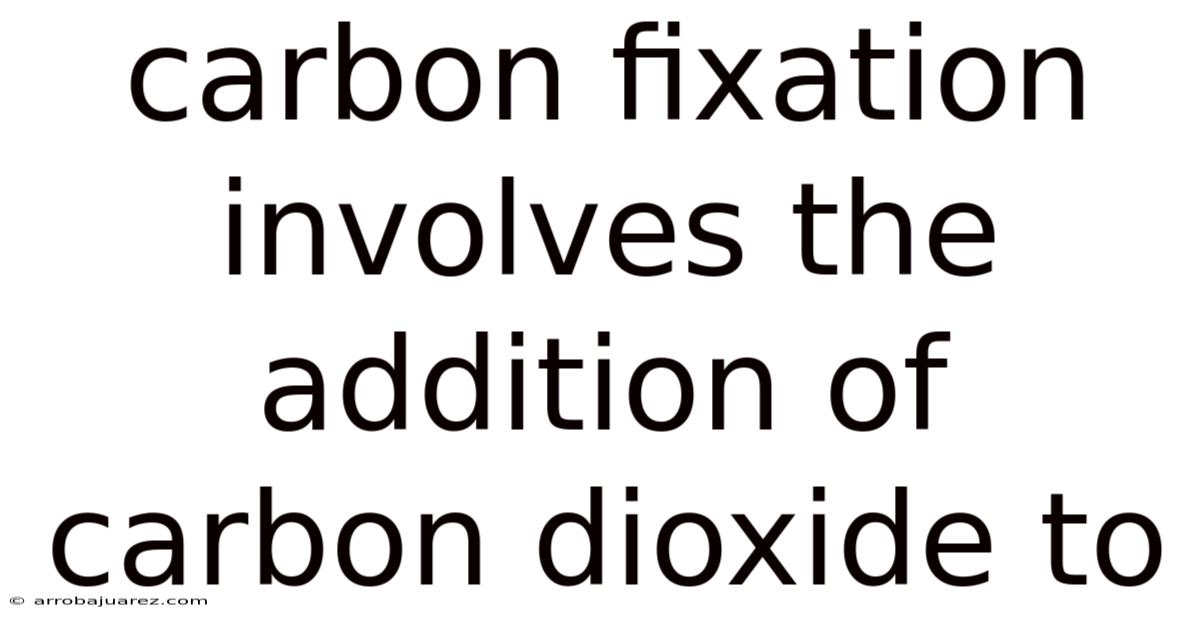 Carbon Fixation Involves The Addition Of Carbon Dioxide To