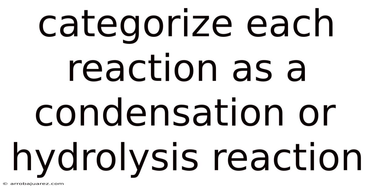 Categorize Each Reaction As A Condensation Or Hydrolysis Reaction
