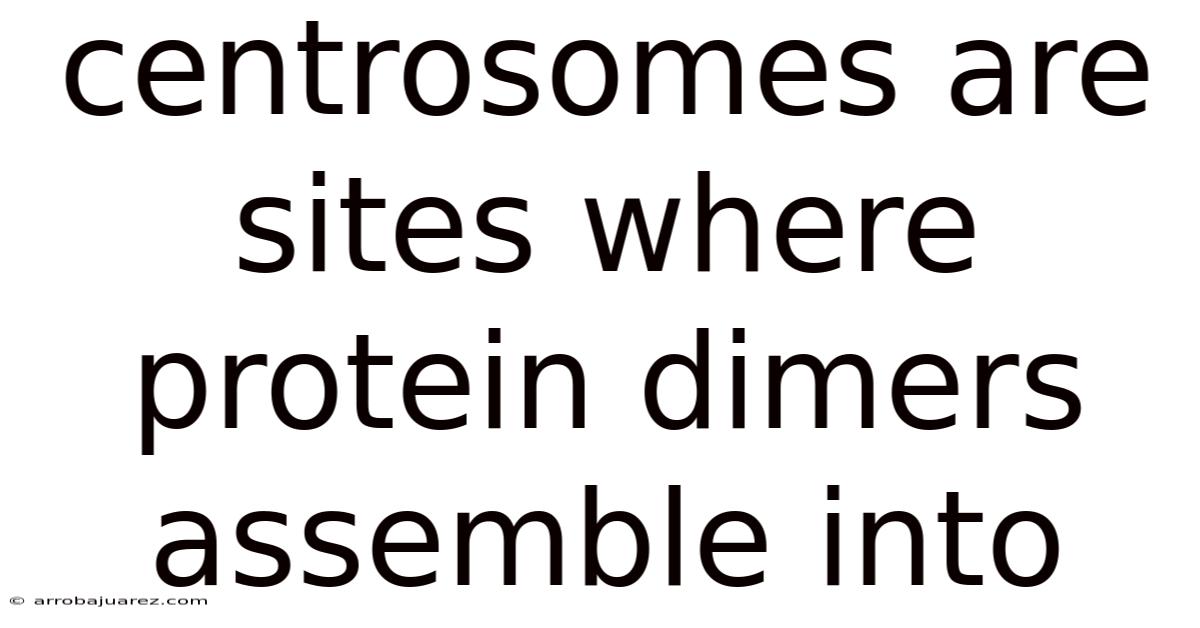 Centrosomes Are Sites Where Protein Dimers Assemble Into