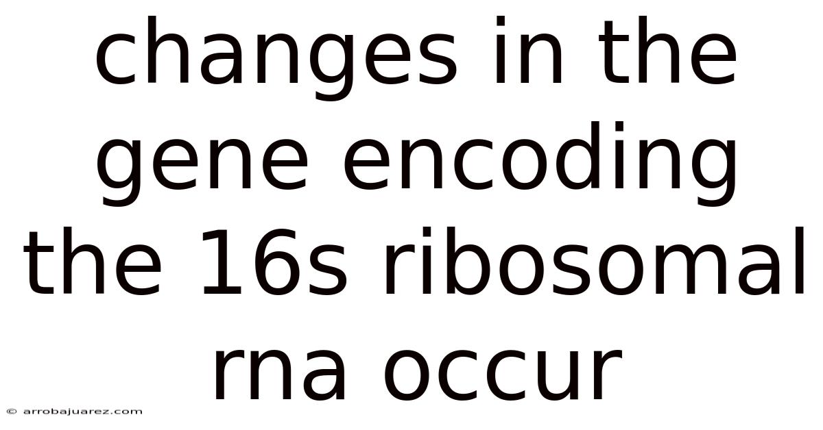 Changes In The Gene Encoding The 16s Ribosomal Rna Occur