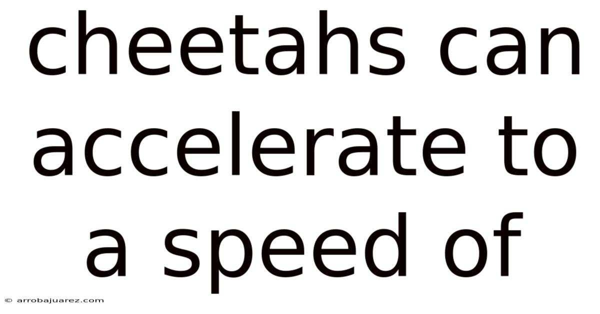 Cheetahs Can Accelerate To A Speed Of