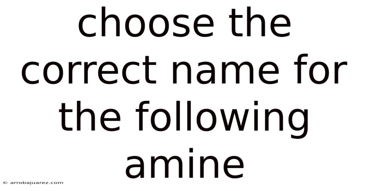 Choose The Correct Name For The Following Amine