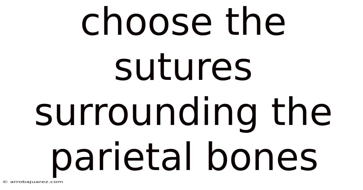 Choose The Sutures Surrounding The Parietal Bones