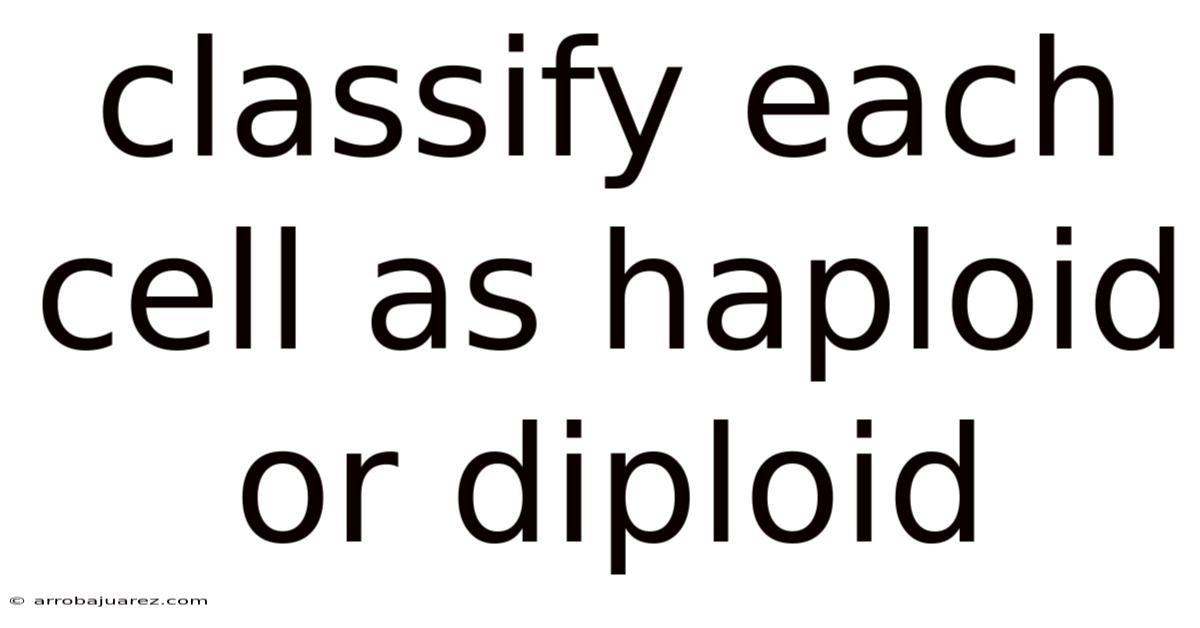 Classify Each Cell As Haploid Or Diploid