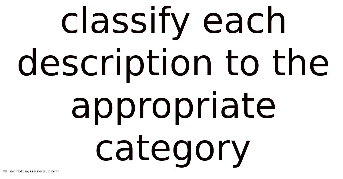 Classify Each Description To The Appropriate Category