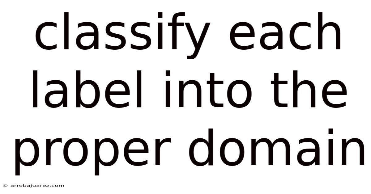 Classify Each Label Into The Proper Domain