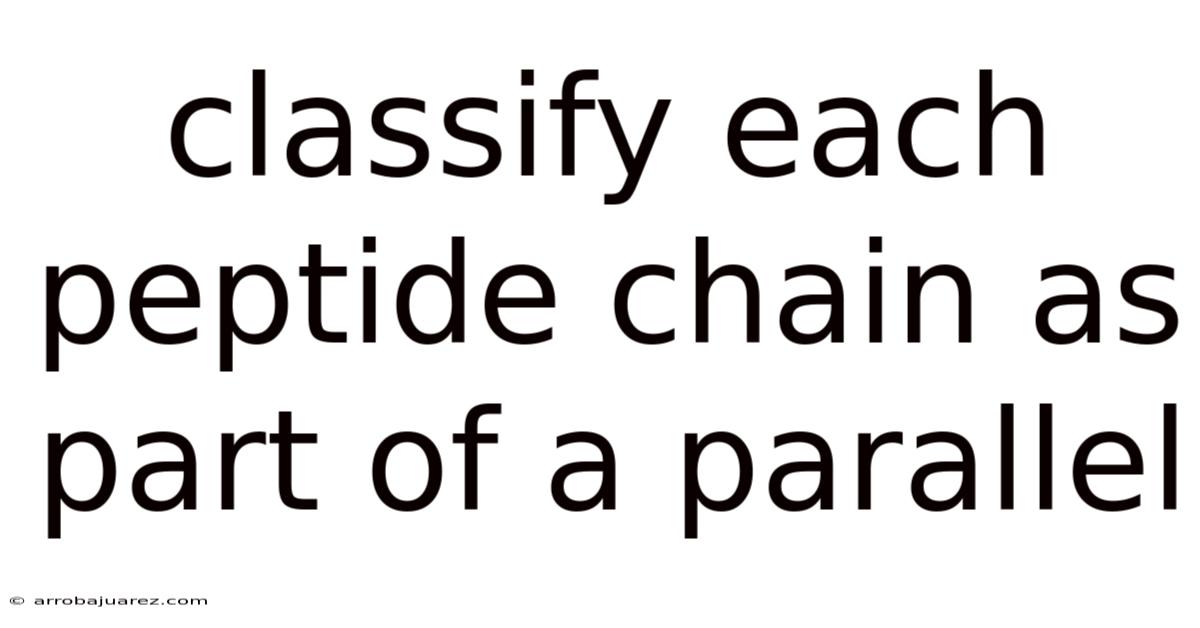 Classify Each Peptide Chain As Part Of A Parallel