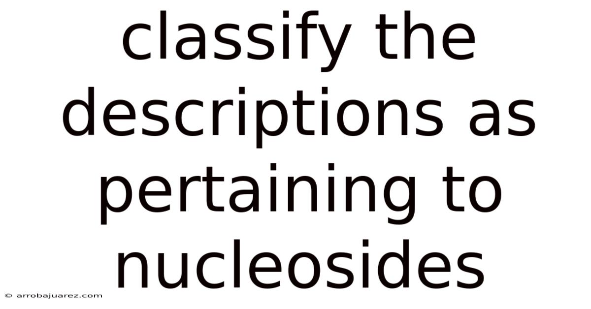 Classify The Descriptions As Pertaining To Nucleosides