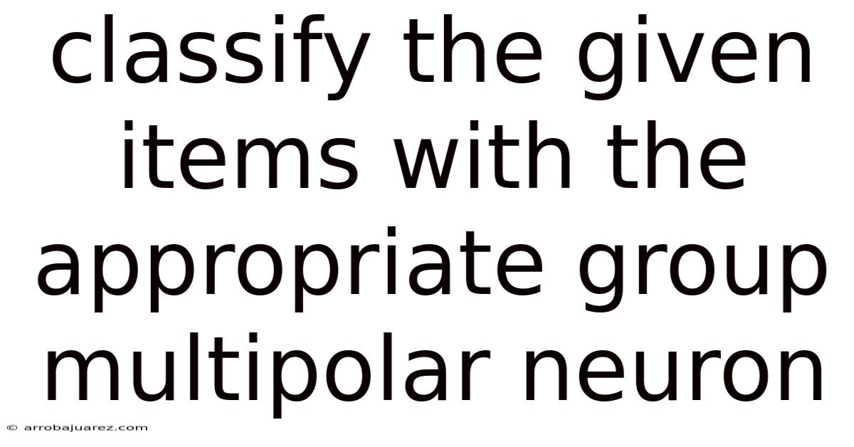 Classify The Given Items With The Appropriate Group Multipolar Neuron