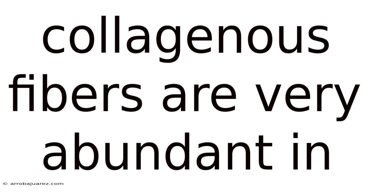 Collagenous Fibers Are Very Abundant In