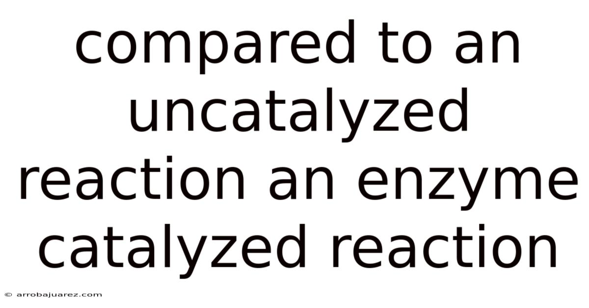 Compared To An Uncatalyzed Reaction An Enzyme Catalyzed Reaction