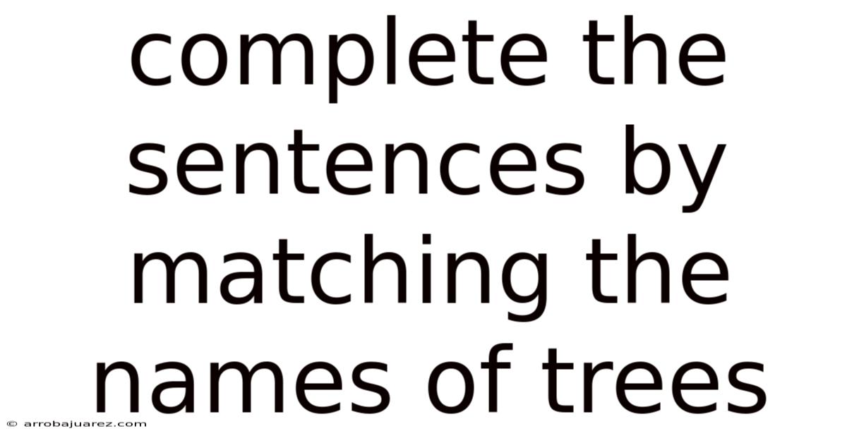 Complete The Sentences By Matching The Names Of Trees