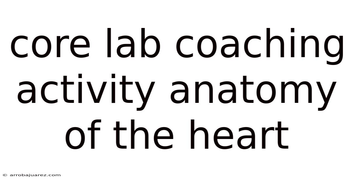 Core Lab Coaching Activity Anatomy Of The Heart