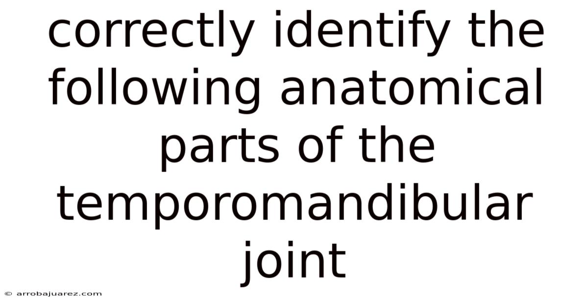 Correctly Identify The Following Anatomical Parts Of The Temporomandibular Joint