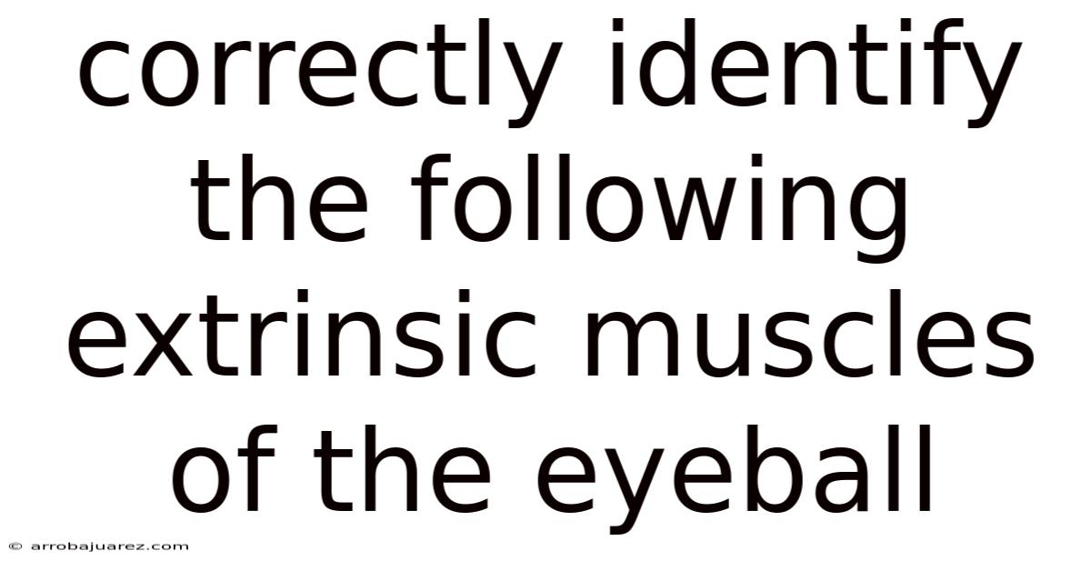 Correctly Identify The Following Extrinsic Muscles Of The Eyeball