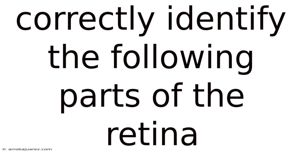 Correctly Identify The Following Parts Of The Retina