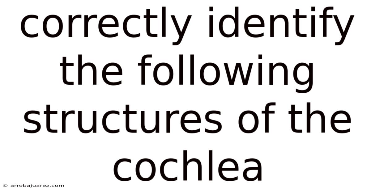 Correctly Identify The Following Structures Of The Cochlea