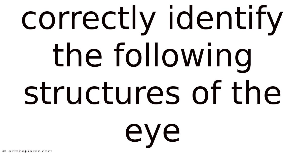 Correctly Identify The Following Structures Of The Eye