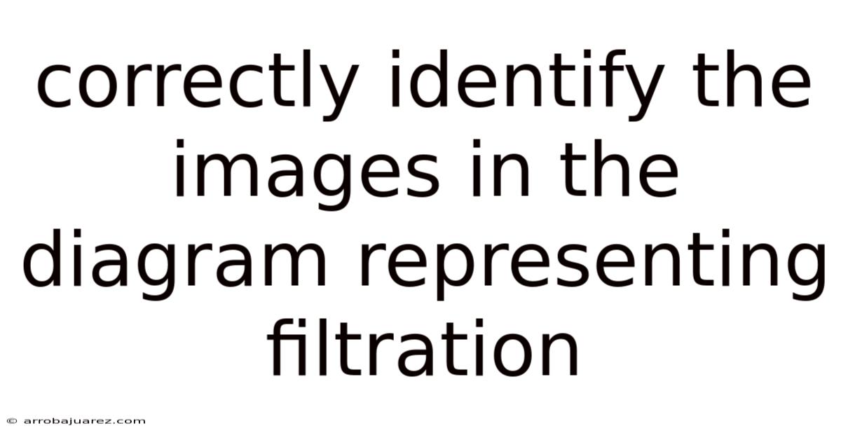 Correctly Identify The Images In The Diagram Representing Filtration