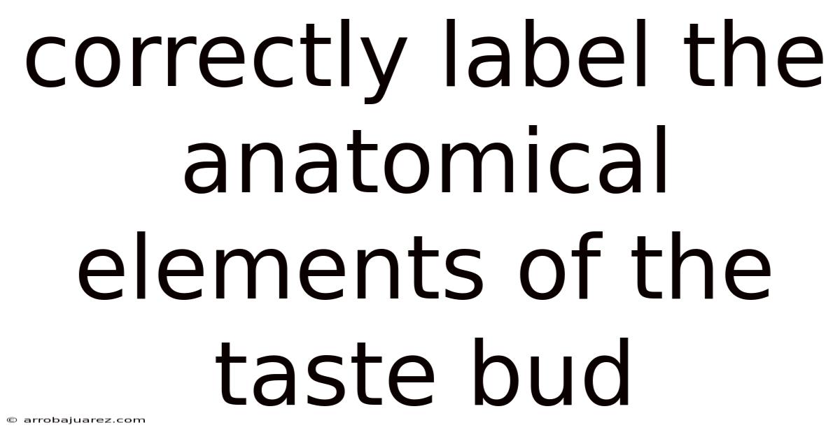 Correctly Label The Anatomical Elements Of The Taste Bud