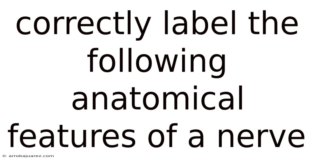 Correctly Label The Following Anatomical Features Of A Nerve