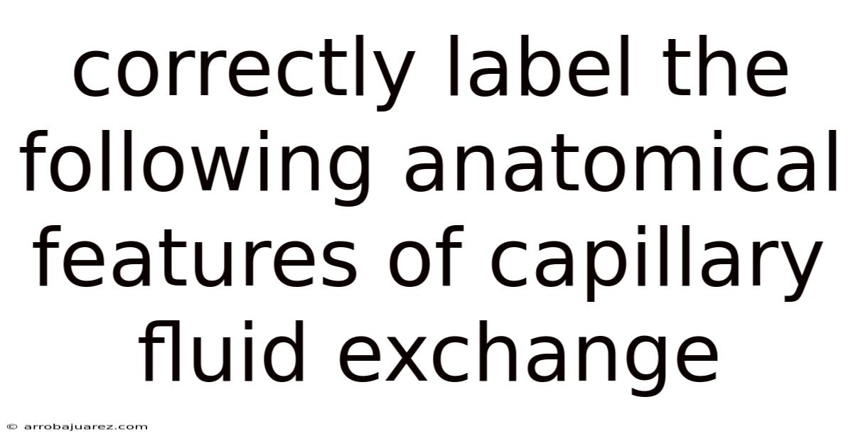 Correctly Label The Following Anatomical Features Of Capillary Fluid Exchange