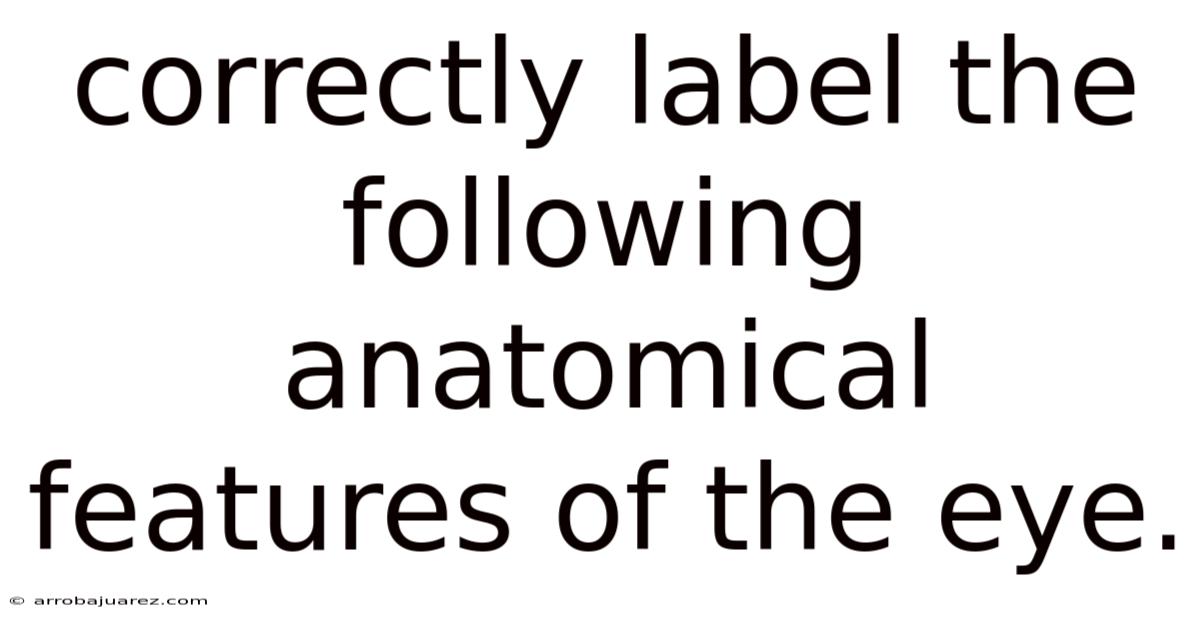 Correctly Label The Following Anatomical Features Of The Eye.