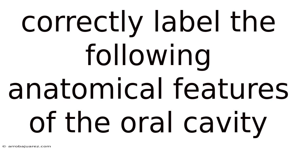 Correctly Label The Following Anatomical Features Of The Oral Cavity
