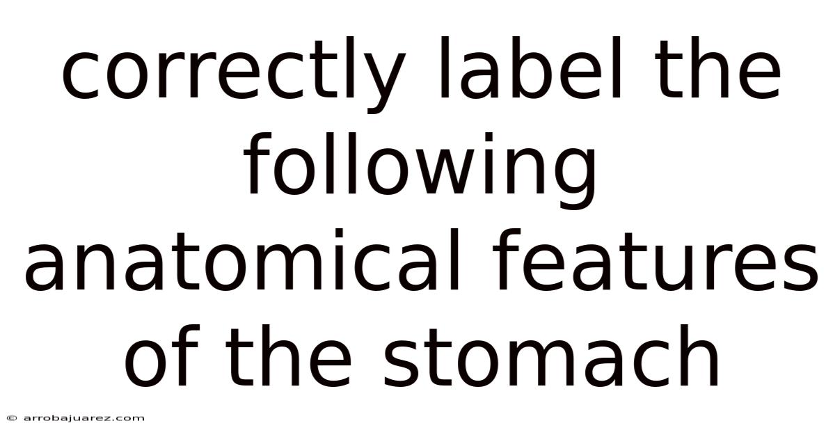 Correctly Label The Following Anatomical Features Of The Stomach