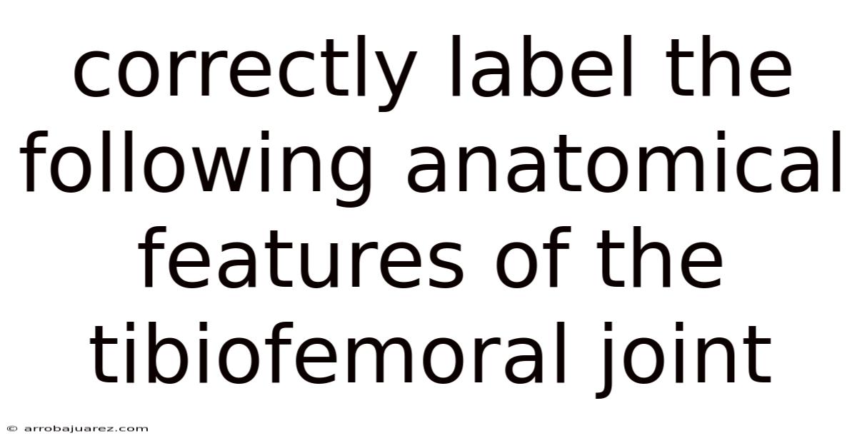 Correctly Label The Following Anatomical Features Of The Tibiofemoral Joint