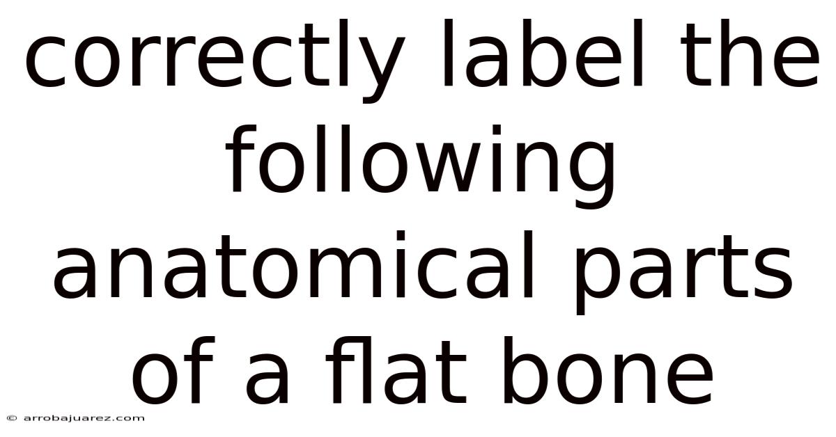 Correctly Label The Following Anatomical Parts Of A Flat Bone